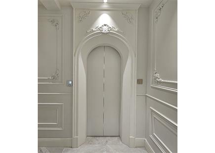 建业桂圆-别墅电梯