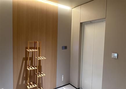 建业桂圆-别墅电梯